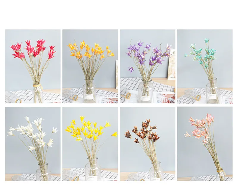 11066399988_1442471722