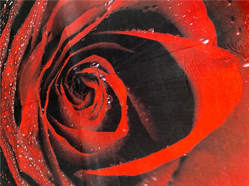 QQ图片20200731104309