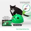 2022 New Cat Toy Pop Play Pet Toy Ball POP N PLAY Cat Scratching Device Funny Traning Cat Toys For Cat Sharpen Claw Pet Supplies ► Photo 2/6
