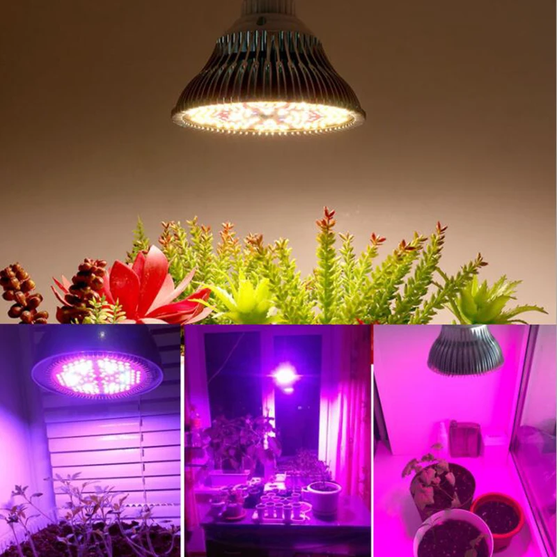 Slide image ae7e1eaf27e14bc5803d27280e6d5d38