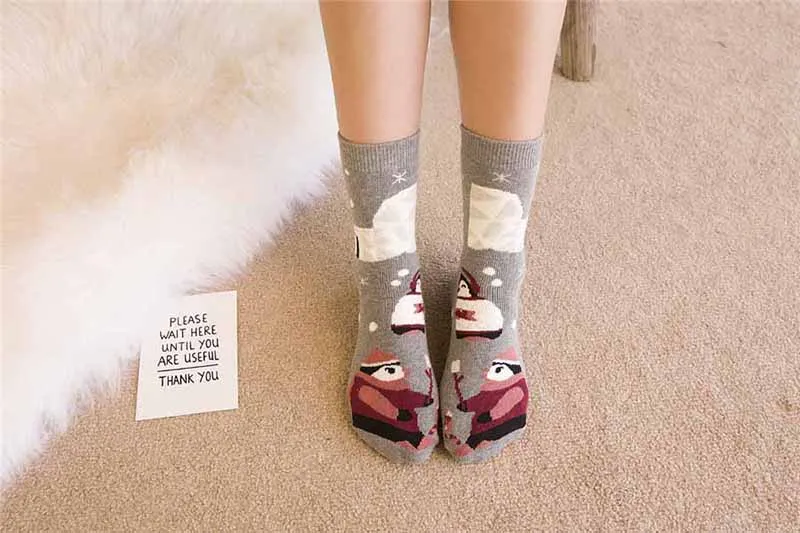 Новинка года; сезон осень-зима; теплые милые носки с милыми рисунками животных; махровые носки из хлопка; Kawaii; Рождественский подарок; Sox
