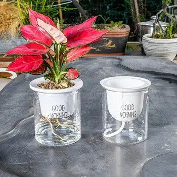

2Pcs Double Tier Hydroponic Epipremnum Aureum Self-watering Flowerpot Home Decor