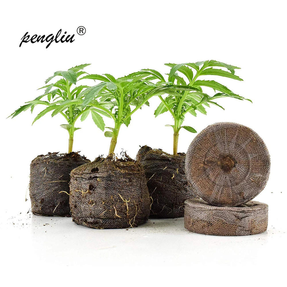 Bonsai 300 Pcs 30mm Jiffy Peat Pellets Seed Starting Plugs Seeds Starter Pallet Seedling Soil Block Round Professional Tool 2019 Nursery Pots Aliexpress