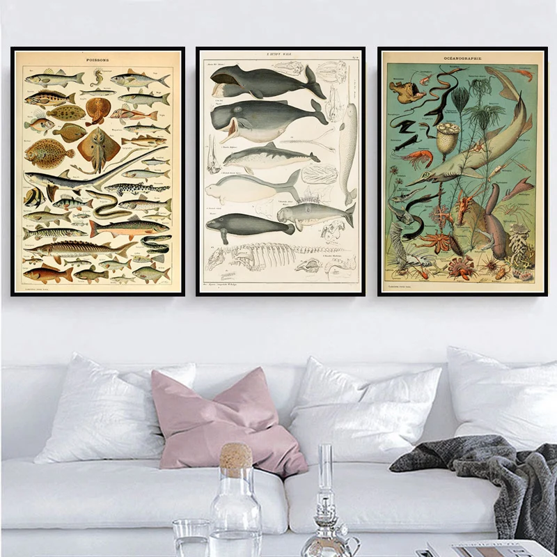 SEASHELLS CHART Poster Vintage Art Picture Wall Print Home Cafe Kitchen Decorate