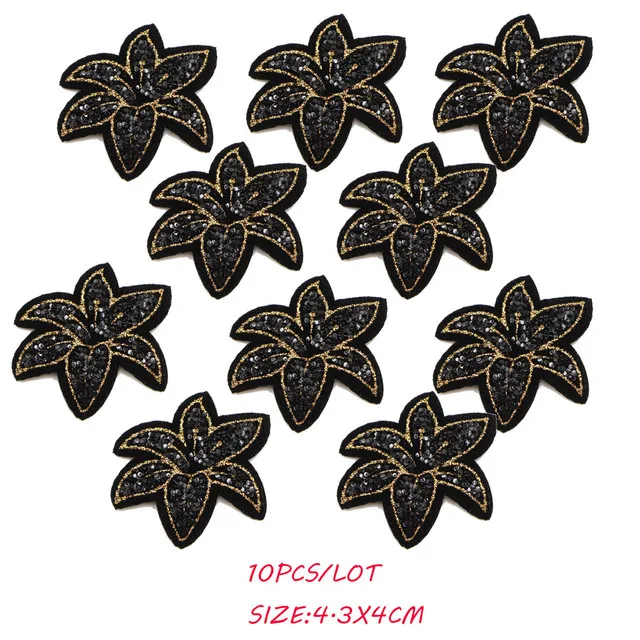 10PCS