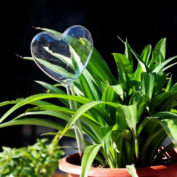 

3 PCS Self Irrigation Plant Globe Plants Water Bulbs Bird Shape Transparent Glass Irrigation Device