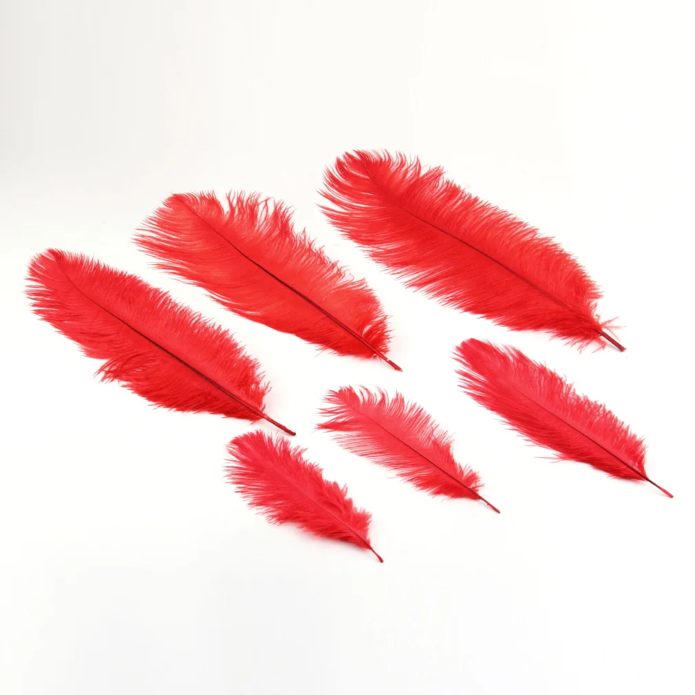 

Colorful High Quality Natural Ostrich Feathers Fit XMAS Wedding Decoration