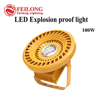 

2020 New Competitive Price New Design LED Ceiling Light 100w Led Explosion Proof Light Outdoor Lights