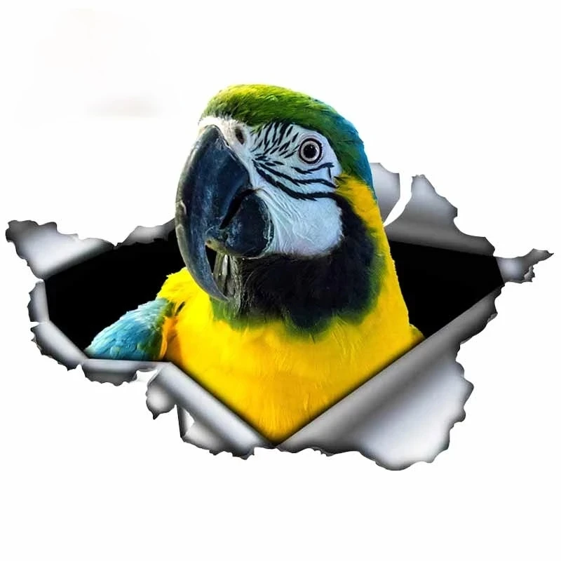 

S50060# 13/15/17CM Personality PVC Decal Torn Metal Parrots Waterproof Car Sticker on Motorcycle Laptop Decorative Accessories