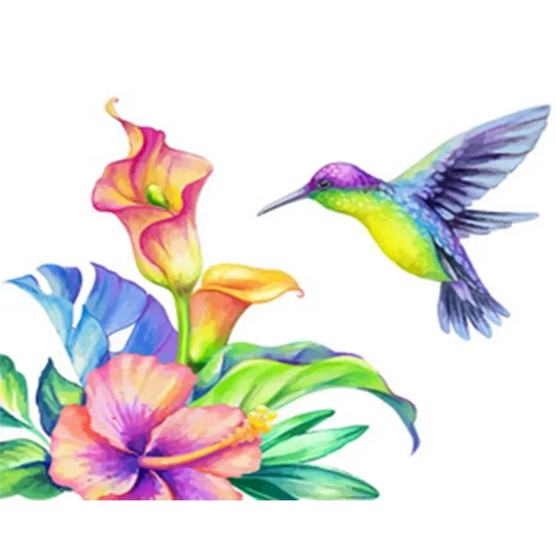 

Paints By Numbers Animals 50x65cm Pictures Oil Painting By Numbers Colour bird Gift Acrylic Coloring By Numbers For Home Decor