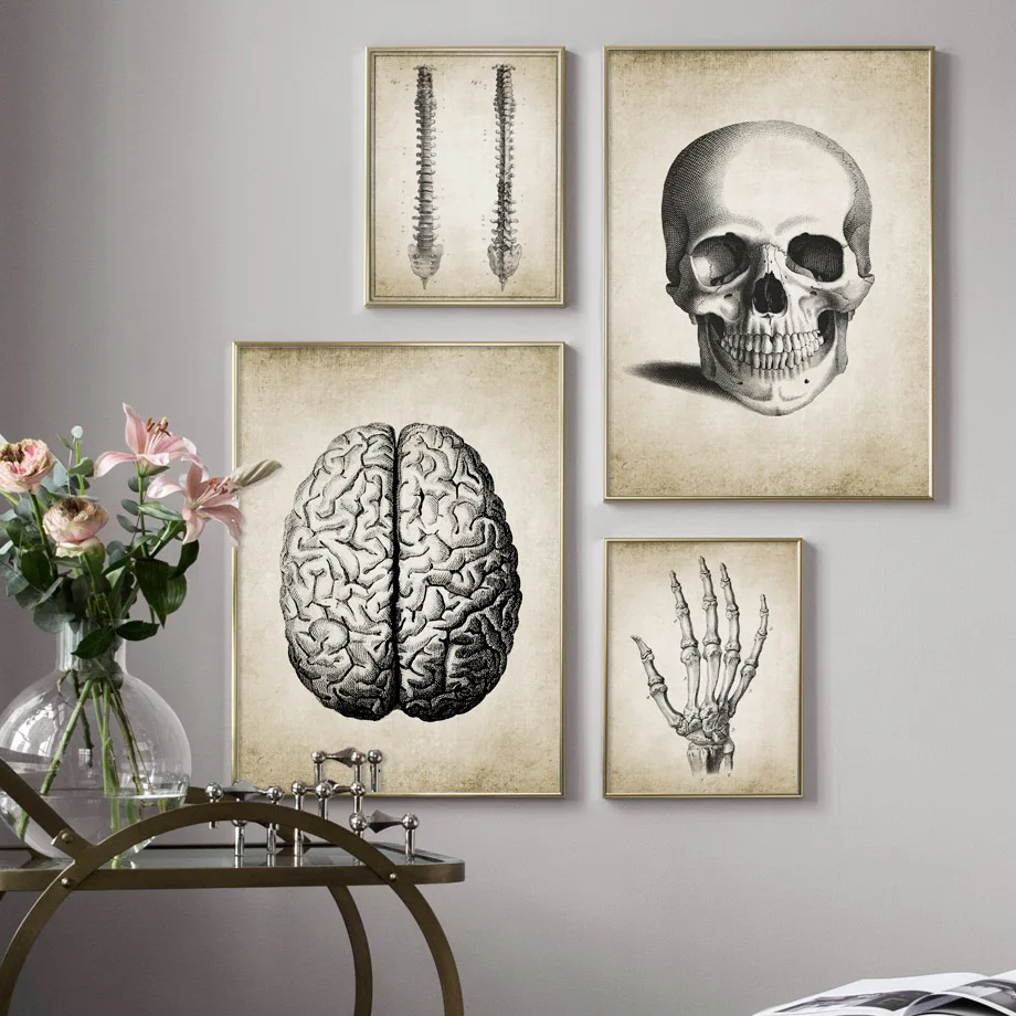 Мозг палец череп человеческая Анатомия рандомная Картина на холсте