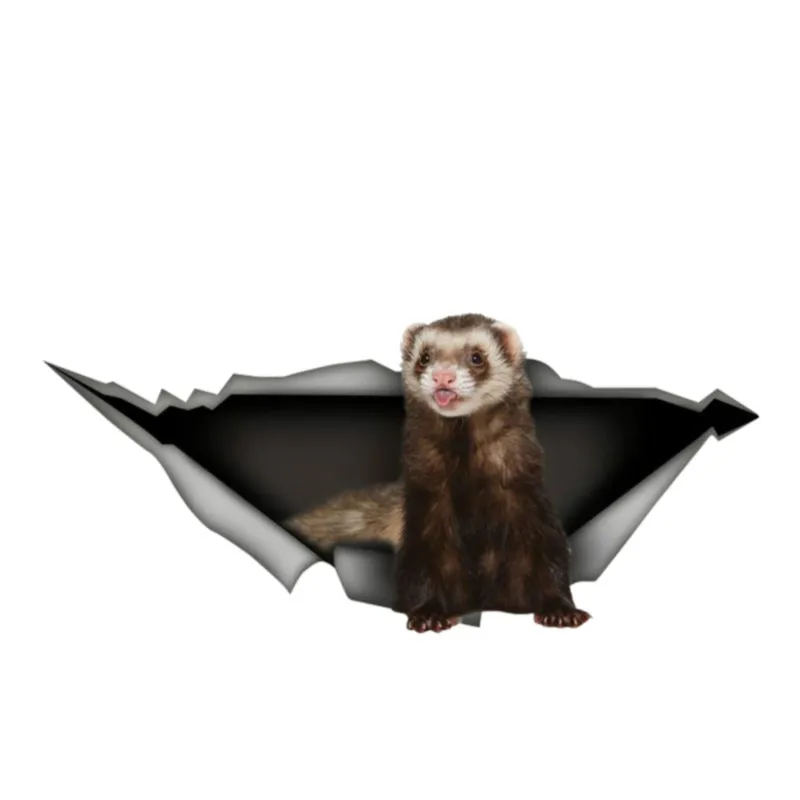 

Personality Ferret 3D Pet Car Sticker Vinyl Waterproof Car Window Accessories Decorative Boot Art Pattern PVC 13cm X 6cm