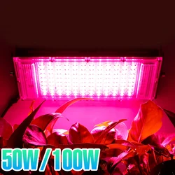 LED Plant Grow Light 50W 100W Phyto Growth Lamp 180&deg; Adjustable Grow Light Full Spectrum Phytolamp for Indoor Seeding Plants D30