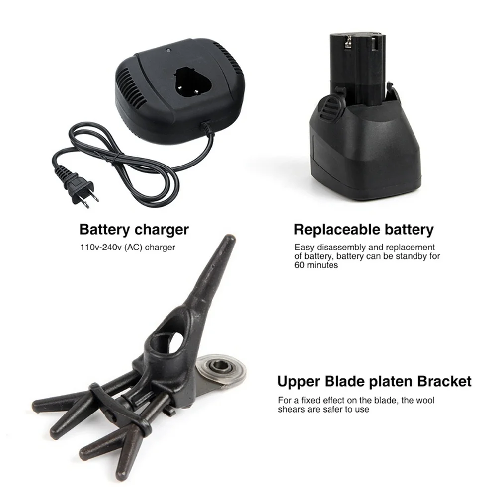 HTB1kFAHXIvrK1Rjy0Feq6ATmVXa9