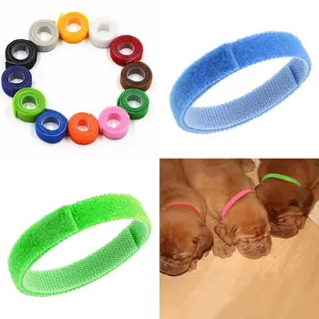 

Adjustable Pet Dog Cat Collar Small Pets Nylon Buckles With Bell Dogs Cats Supplies For Chihuahua Bulldog Leash Accessories