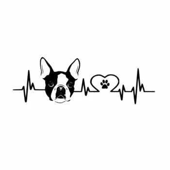 

Car Styling Boston Terrier Ecg Creativeca Car Stickers Waterproof Sunscreen Accessories Pvc 20cm X 7cm
