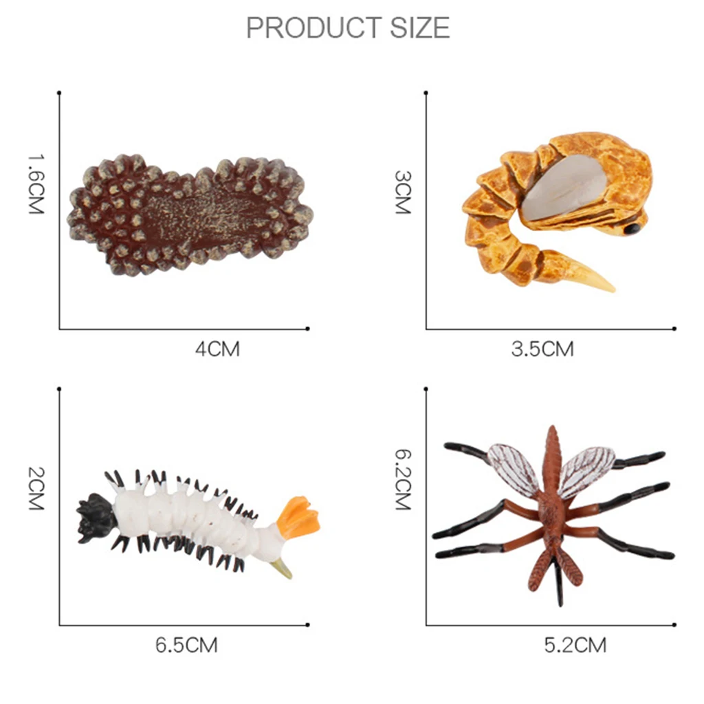 Early Kids Toddlers Simulation Animals Growth Cycle Toy Pretend Play Animal Growth Cycle Teaching Aids Early Educational Toy