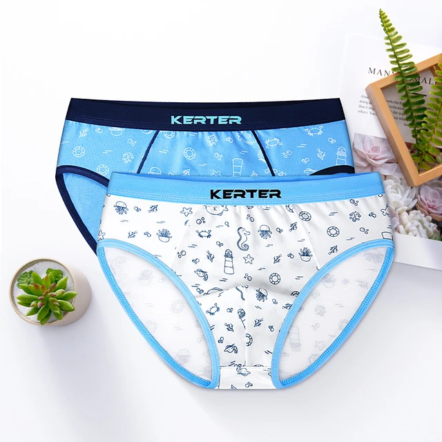 4pcs Cotton Boys Underwear Kids Blue Briefs Boys Cartoon Panties Boys  Clothes For 3 4 6 8 10 12 Years Old Omg183004 - Panties - AliExpress