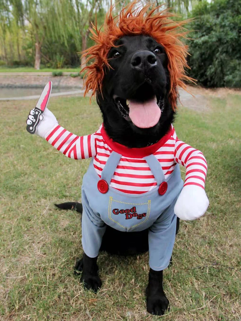 Pet Cat Dog Clothes Cowboy Dog Coat Dog Costume Role Playing Style With Wig Funny Dog 2