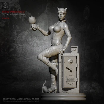 

75mm Resin model kits Catwoman self-assembled TD-2390