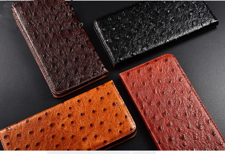 鸵鸟纹款_03_副本