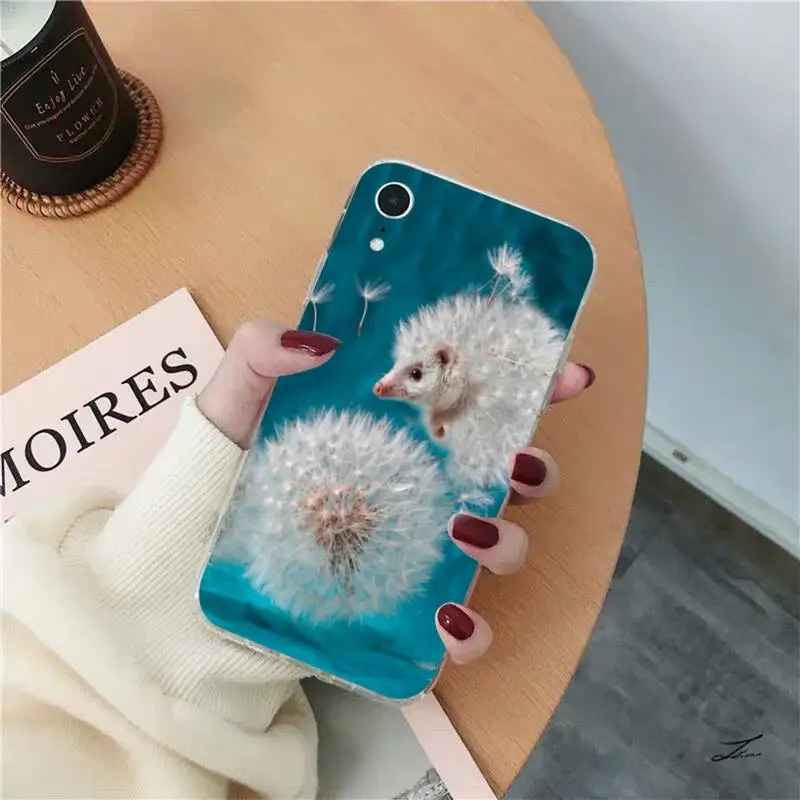 13 case Kawaii Hedgehog Phone Case for iPhone 13 11 12 pro XS MAX 8 7 6 6S Plus X 5S SE 2020 XR case 13 cases iPhone 13