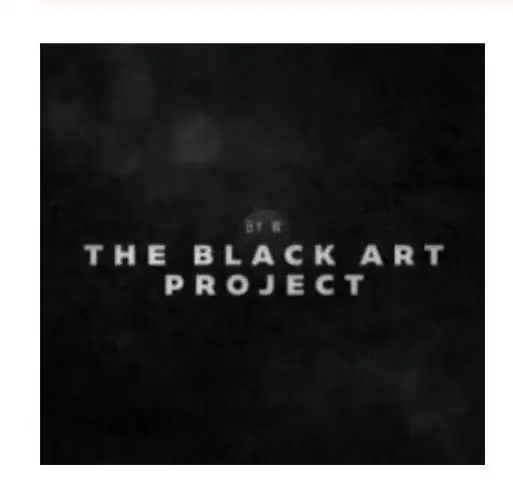 

2020 Black Art Project By Will Tsai & Sansminds Magic tricks