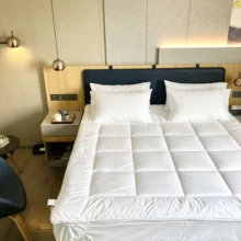 Matelas en coton Super doux pour dortoir d'étudiants, matelas simple et Double antidérapant et pliable pour la maison