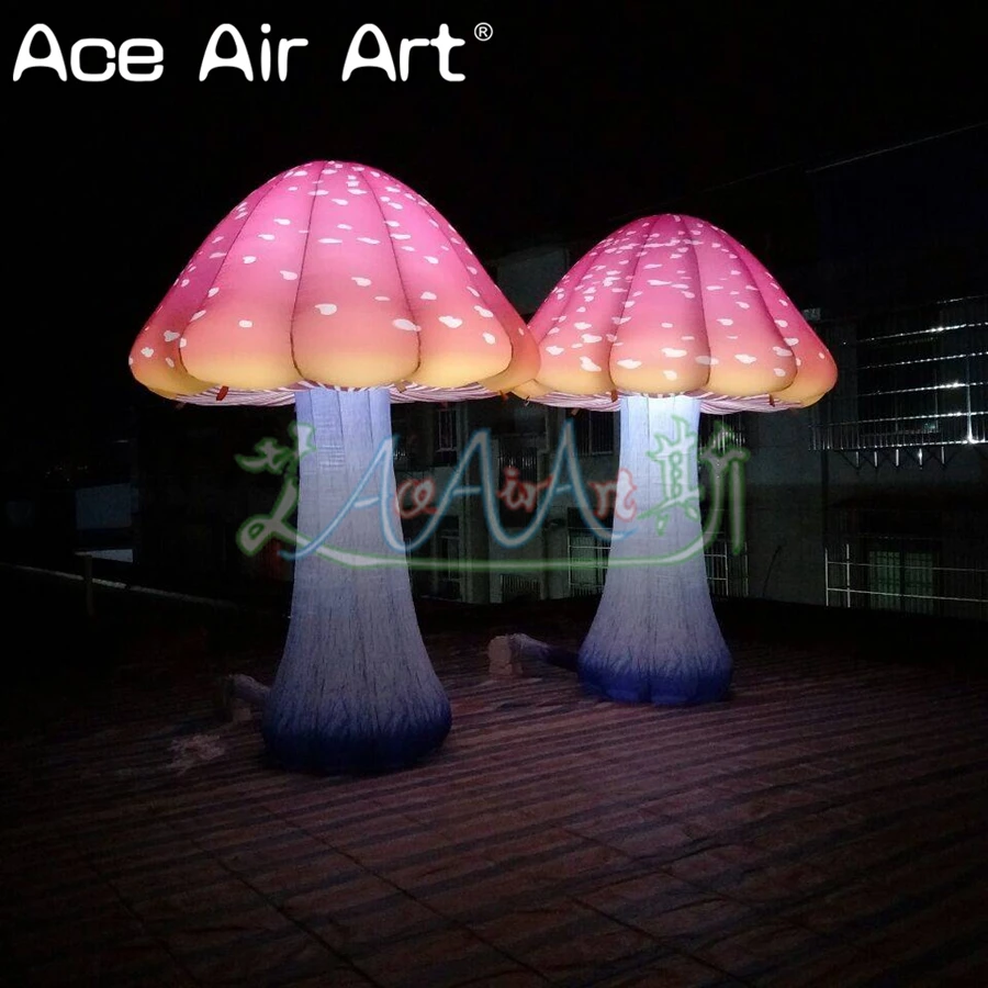 QQ图片20190801225127_副本