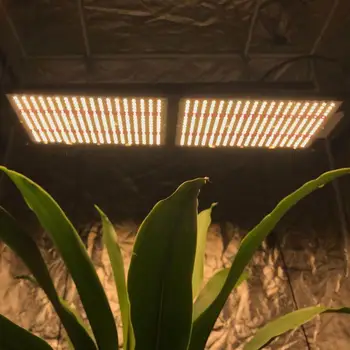 

240W Full Spectrum Panel LED Grow Light DC48V Greenhouse Horticulture Grow LED Lamp for Indoor Plant Flowering Growth