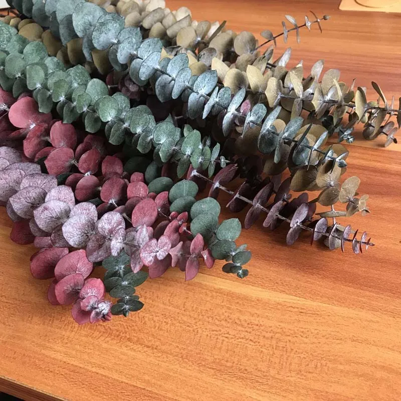 QQ图片20200811093729