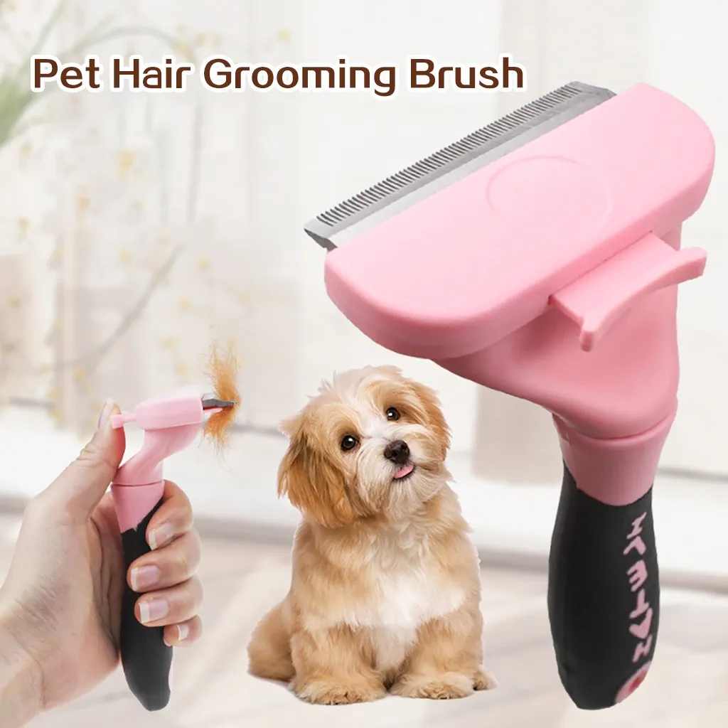 combing a dog