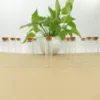 24 Pcs/lot Diameter 22mm Little Dragees glass Bottle Glass Jars Corks Test Tube Stopper Spice Container Wedding DIY Tiny Jars 4