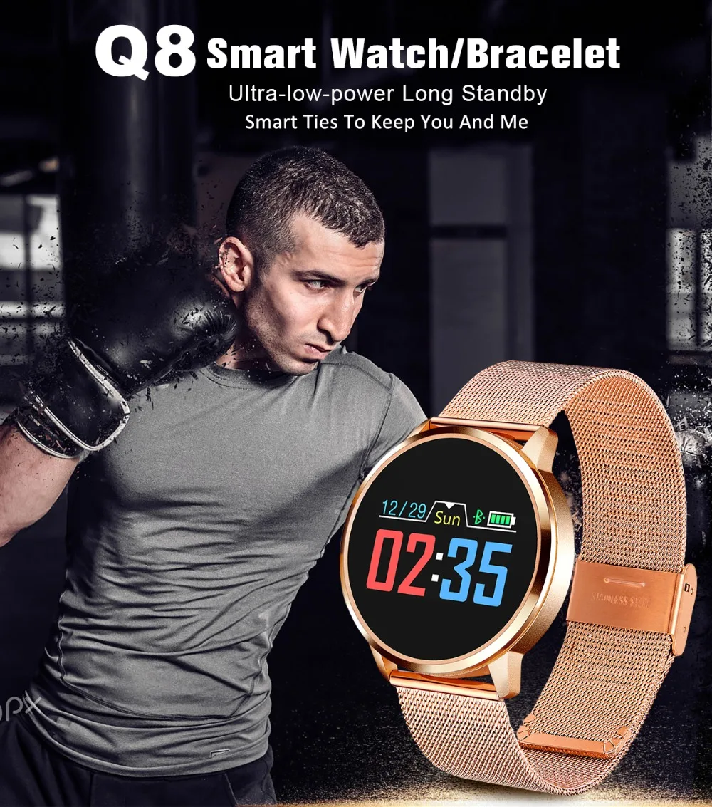 q81-_01