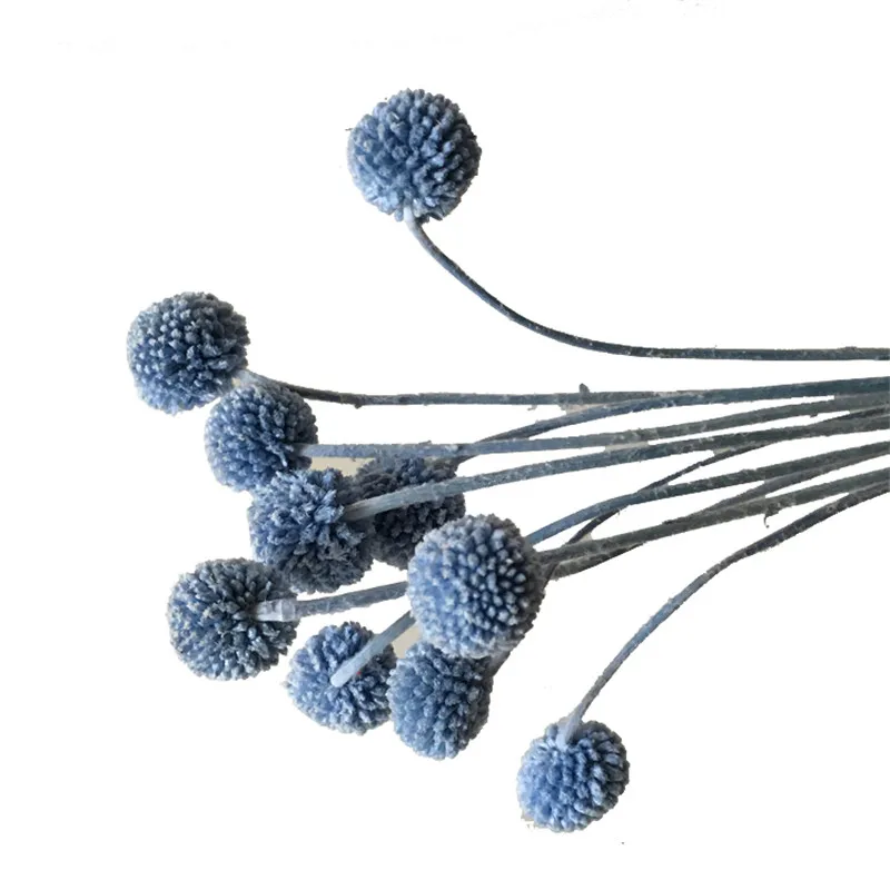 

20 шт. Рождественский Декор, разноцветные шары Билли, Натуральные сушеные цветы eternell, craspedia, цветы для украшения дома, свадьбы