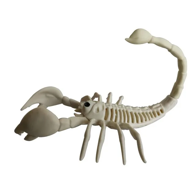 Halloween Bat//Mouse//Spider//Lizard//Scorpion Animal Bones Prop Party Shop Ornament