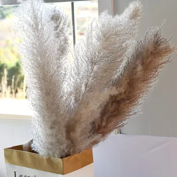 

80cm 1m Large Pampas Grass Wedding Flower Home Decor Dried Flower Modern 5pcs Special Fluffy Valentine's Day Party Decor