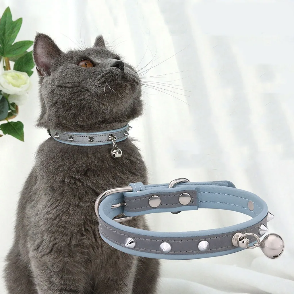 best selling dog collars