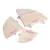 1Pc New Pet Bird Parrot Wood Platform Stand Rack Toy Hamster Branch Окуни Для птичьей Клетки Игрушки 3 Размера Зоотовары