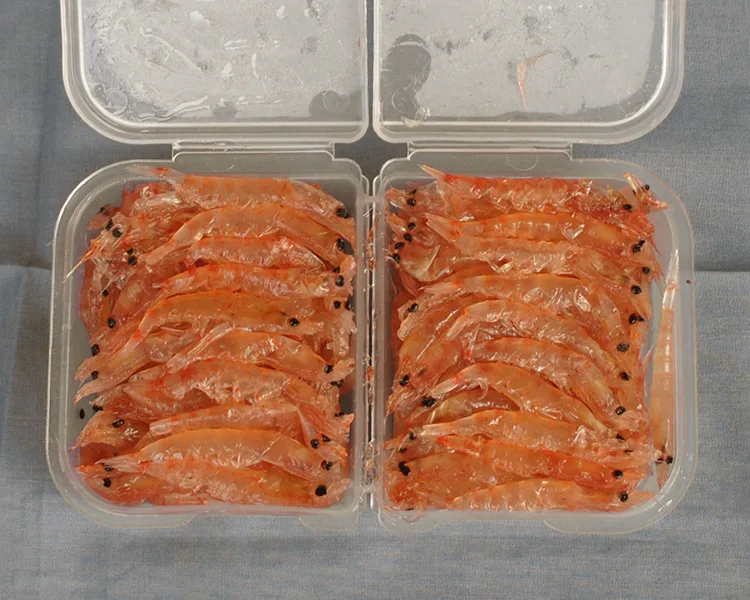 

Fishing Bait Pickled Honey Hook Antarctic Shrimp Fishing Krill Rock Fishing hei diao Fishing Bait Homemade Antarctic Shrimp Meat