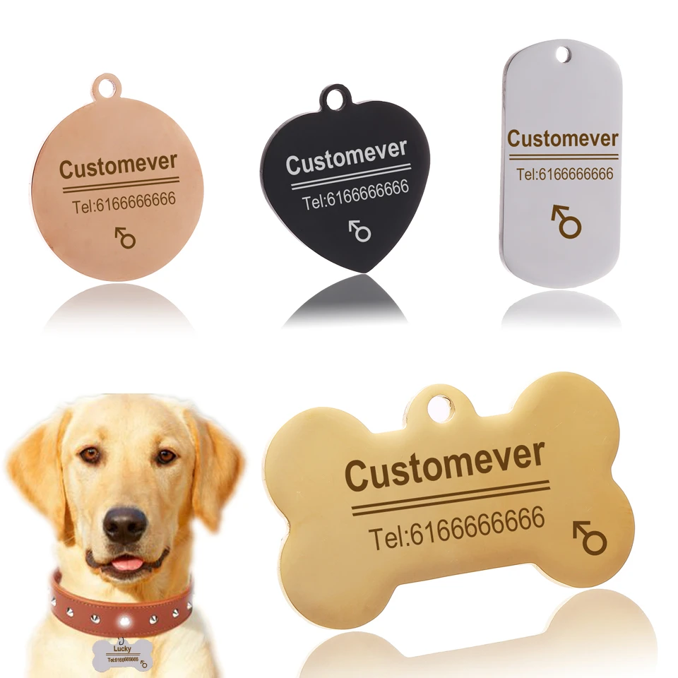 gold dog name tags