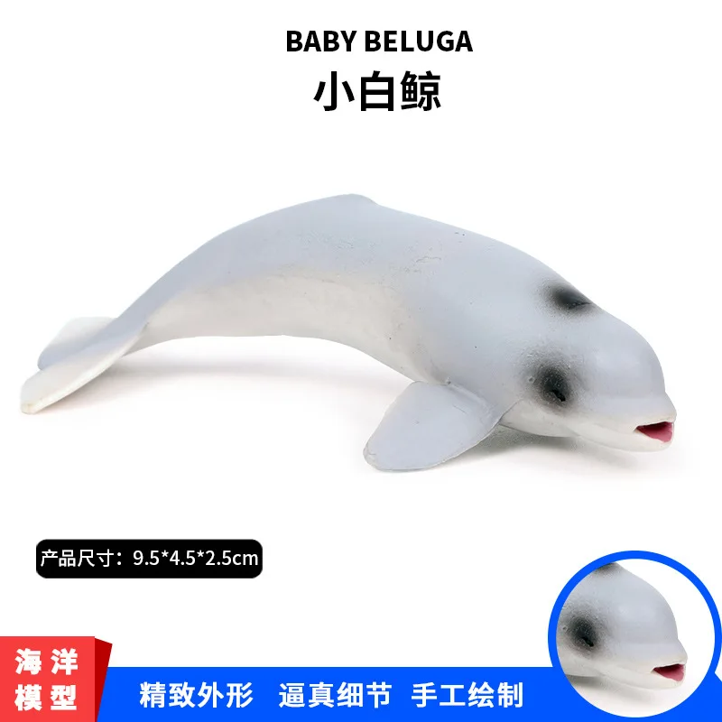 Solid Model Oceans Animal Model Mini Baby Beluga Seabed Biological Whale Decoration CHILDREN'S Toy
