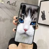Mobile Phone Accessories