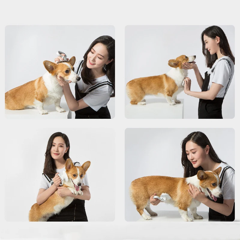 Pet гребень для кошек собак для удаления волос и массажа игла из нержавеющей стали для кошек уход за щеткой Инструменты красивая щетка для стрижки волос продукт для домашних животных