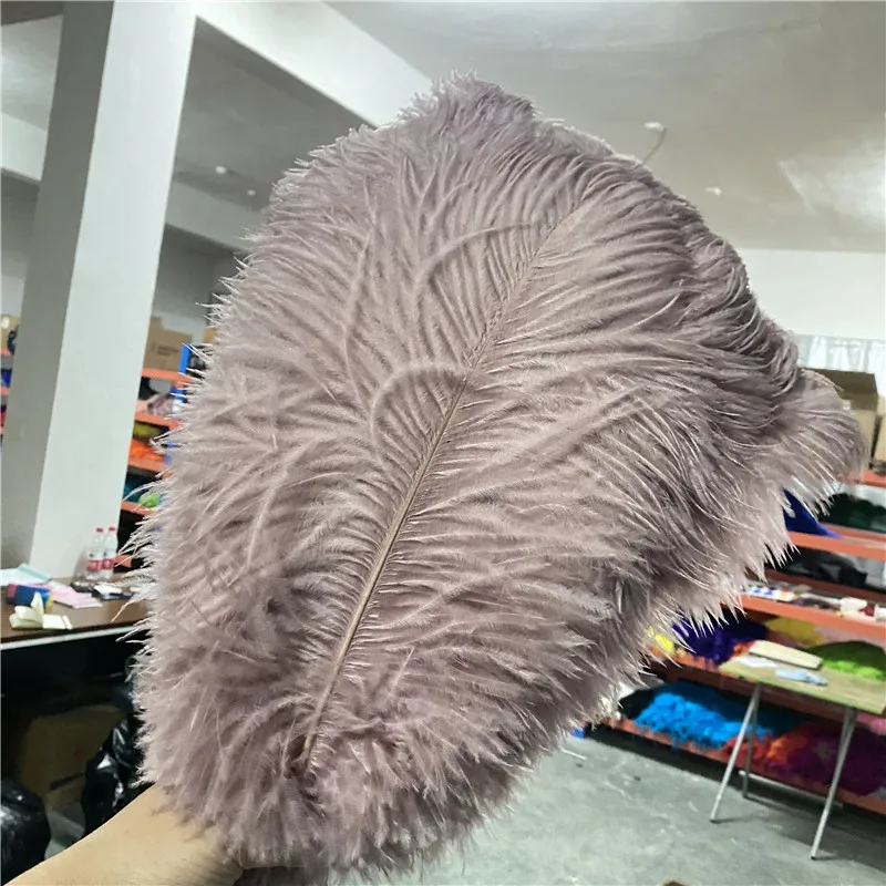 

50pcs/lot Grace Ostrich Feathers Skin powder 16-18inches/40-45cm Diy Accessories Party Jewelry Decoration Ostrich Feather Plumas