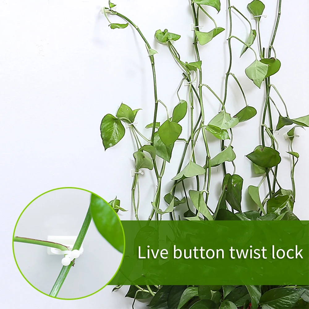 20x Invisible Wall Rattan Clamp Plants Climbing Supports Wall Fixer Fixed Clips 