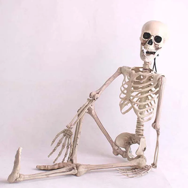  Halloween Prop Realistic Skeleton Full Size Skull Hand Life Body Anatomy Model for Party Decor Medi - 4000207726825