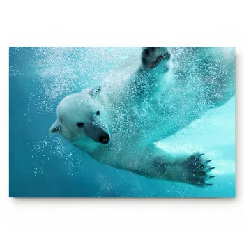 

White Polar Bear Under The Sea Animal Bathroom Kitchen Living Room Carpet Doormat Home Decor Non-slip Floor Mat