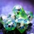 7 шт./компл. Животное DND Dice D&D Dice D4 D6 D8 D10 D% D12 D20 Многогранные Игры Набор Кубиков для настольных игр MTG RPG