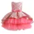 Цветок Старинные Вышивки Baby Girls Dress Церемония Открытия Одежда Пачка Партии Элегантная Одежда Девушки Принцесса Платье Дети Vestidos